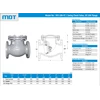 mdt | sfe-10k-fc | swing check valve, fc200, 10k-1