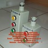 push button explosion proof control unit lcs-1