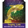 trophy award, futsal, golf, piring-3