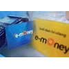 custom e-money
