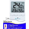 digital thermo - hygrometer with external probe