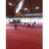 karpet masjid,karpet custom, karpet sajadah, dll..-6