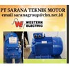 western electric motor 3 phase pt sarana teknik