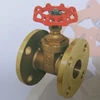 gate valve flange brass 10k-1