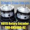 koyo rotary encoder trd-gk5000-rz