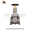 globe valve case iron