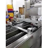 conveyor, head moving device - industrial inkjet application-2