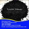 ferrolite tohkemy-1