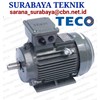 teco motor surabaya toko teknik jawa timur