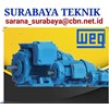 weg electric motor
