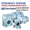 gear motor bonfiglioli