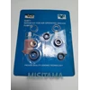 repair kit / seal kit for air operated grease pump 025011