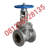 check valve pompa