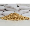 kacang kedelai impor-3