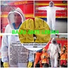 baju lebah 3 layer surabaya jawa timur indonesia-5
