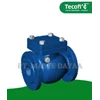 tecofi - cb 3240pn16 flanged type swing check valve pn16
