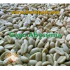 greenbean roastbean gayo kopi coffee-3