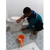 general cleaning aktivitas membersihkan bowl toilet