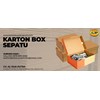 karton box-2