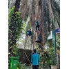 team gardener aktivitas merakit scaffolding