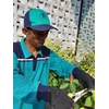 gardener termurah di palmerah