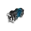 casappa gear pumps and motors polaris (ph)