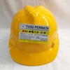 helm safety msa standard