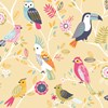 wallpaper dinding anak motif aneka hewan/ the zoo/burung-4