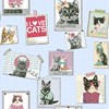 wallpaper dinding anak motif berbagai kucing/kitty hits/kucing trend-1