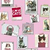 wallpaper dinding anak motif berbagai kucing/kitty hits/kucing trend