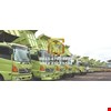 rental dump truk melak-2