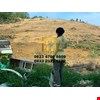 kontraktor pematangan lahan paser-7