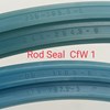 256x265.5x5 sea rod 245x254.5-5 sparepart truk cfw 1 seal rod-4