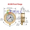 pressure gauge industri-3