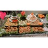 nasi tumpeng besar/big size-6