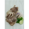 baby octopus iqf rum
