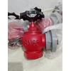 zir hydrant valve-1