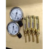 sika thermometer and pressure gauge-1