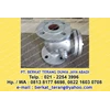 check valve size 2 inch pn16 cast iron type n16 cc