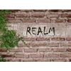 realm collection