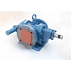 gear pump rotari rdrx 250l pompa roda gigi - 2.5 inci