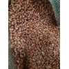 kacang tanah atau peanut-1