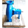 solid handling centrifugal pump p 250-430 pompa centrifugal-12x10 inc-7