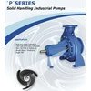 solid handling centrifugal pump p 250-430 pompa centrifugal-12x10 inc-5