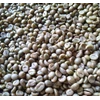 mengsupply kopi robusta