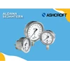 ashcroft pressure gauge 0-300 psi (25-1009-sw-02b-300)-1