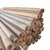 bamboo poles for construction and home decor, bambu alami-6
