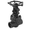 gate valve (forged steel/ a105/ sus 316/sus304)