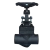 globe valve (forged steel/ a105/ sus 316/sus304)