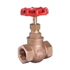 globe valve brass / bronze screw end connection